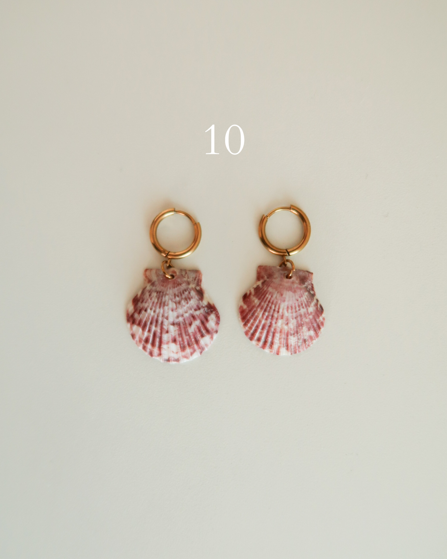 Shell Earrings