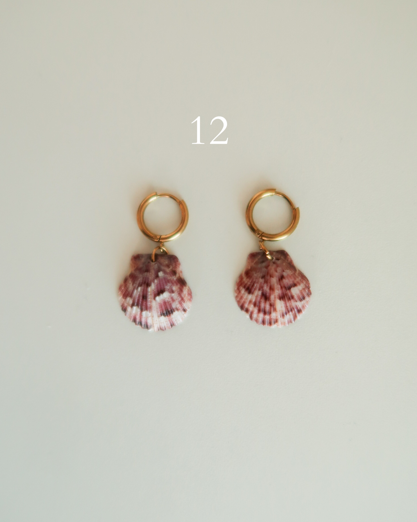 Shell Earrings