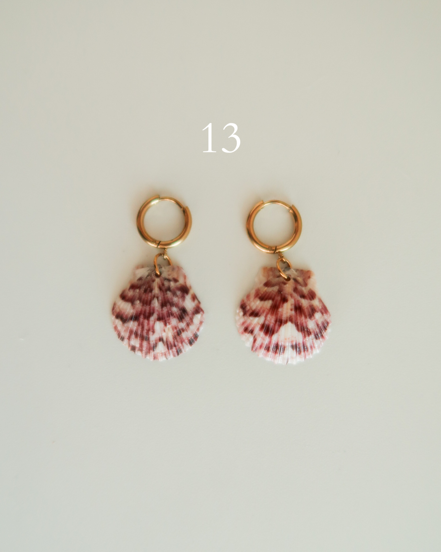 Shell Earrings