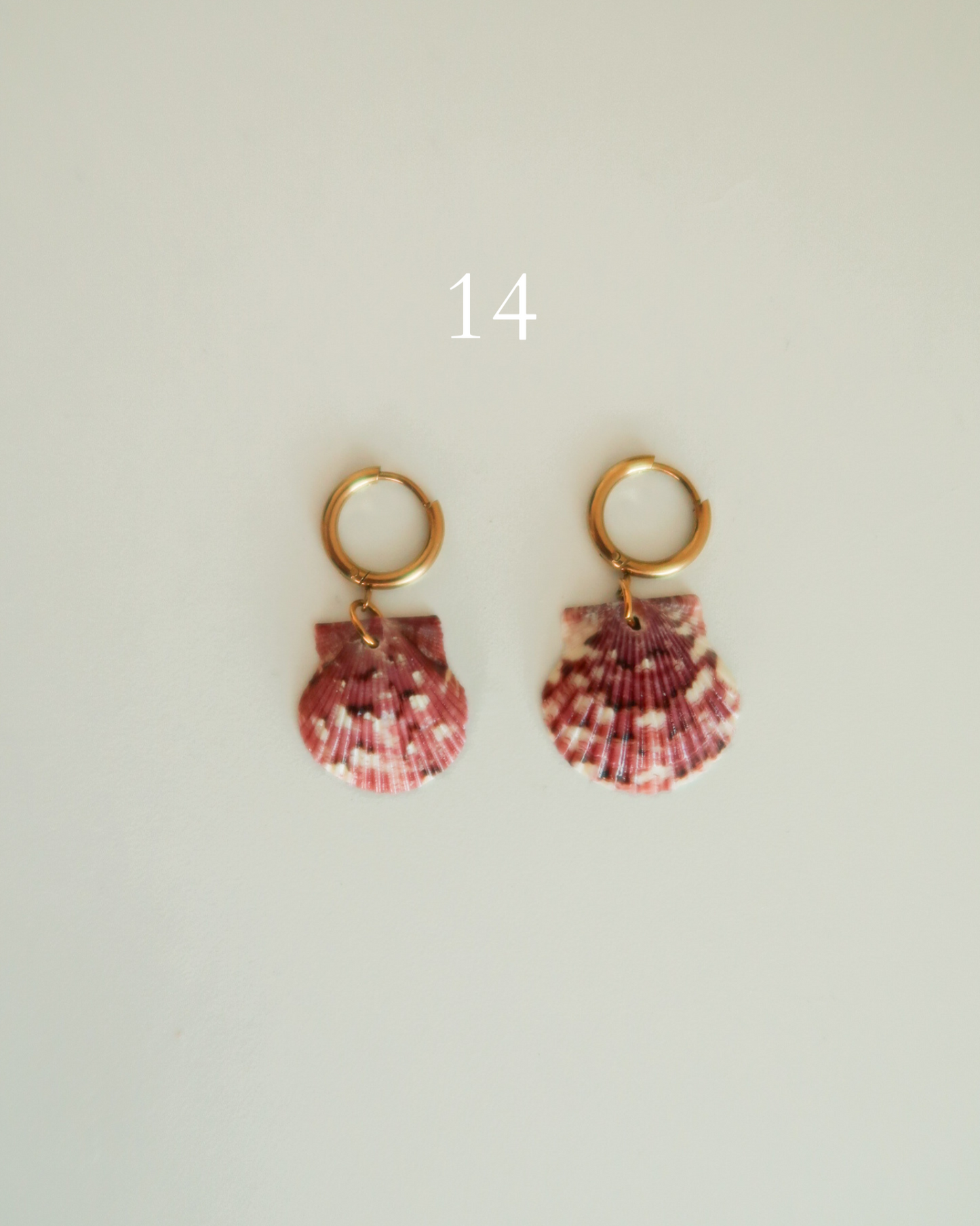 Shell Earrings