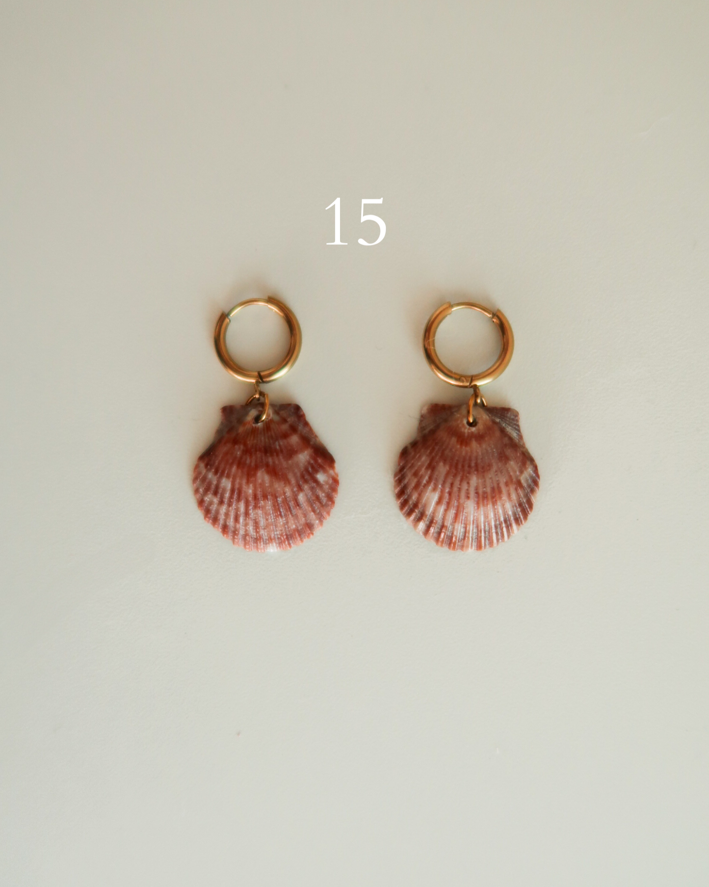 Shell Earrings