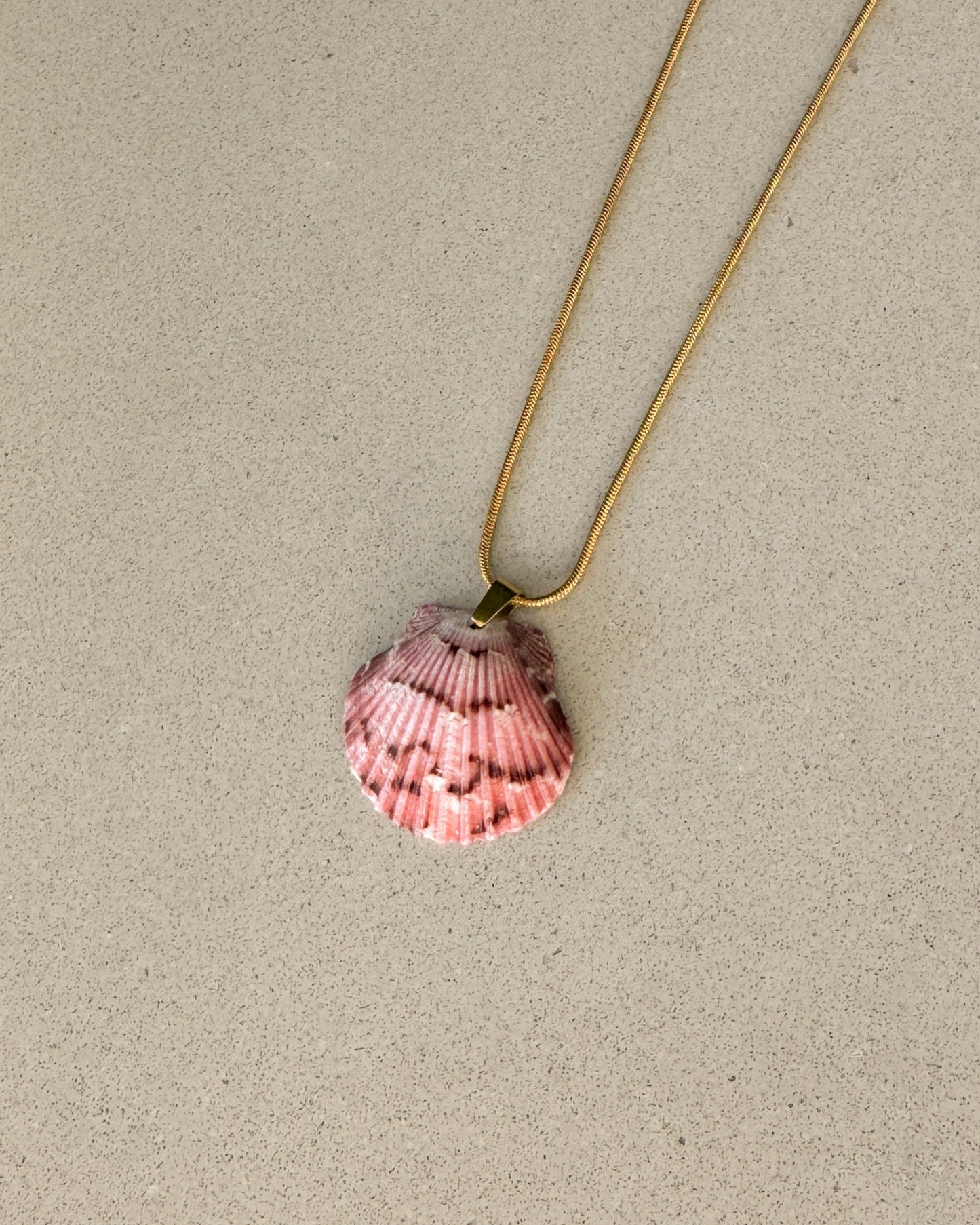 Beachline Shell Necklace