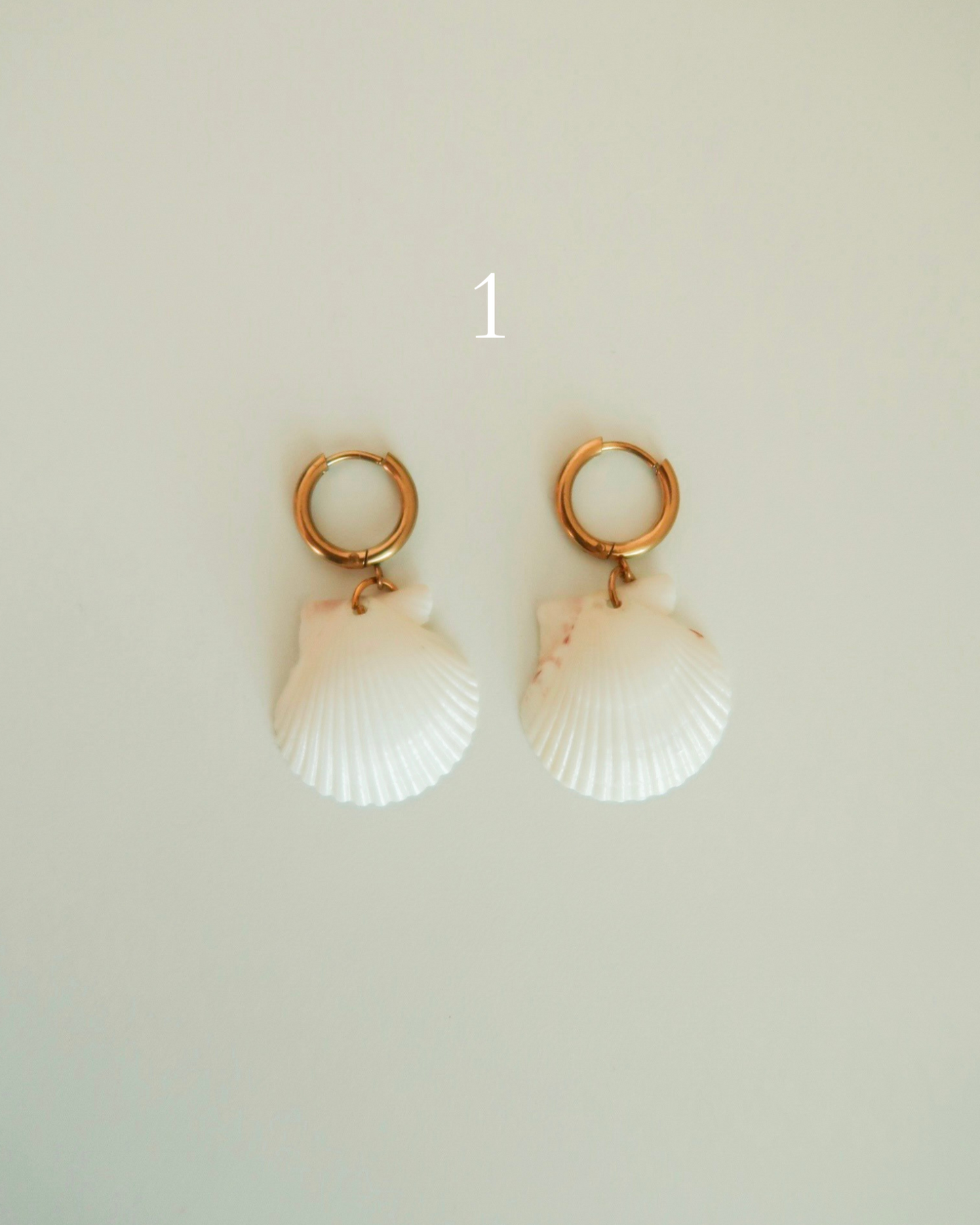 Shell Earrings