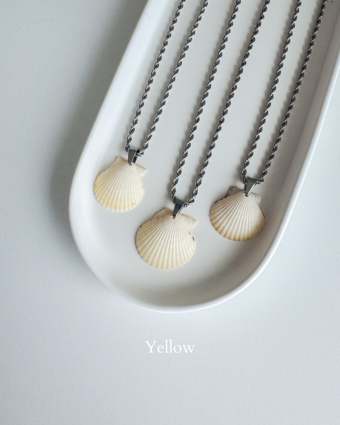 Low Tide Shell Necklace