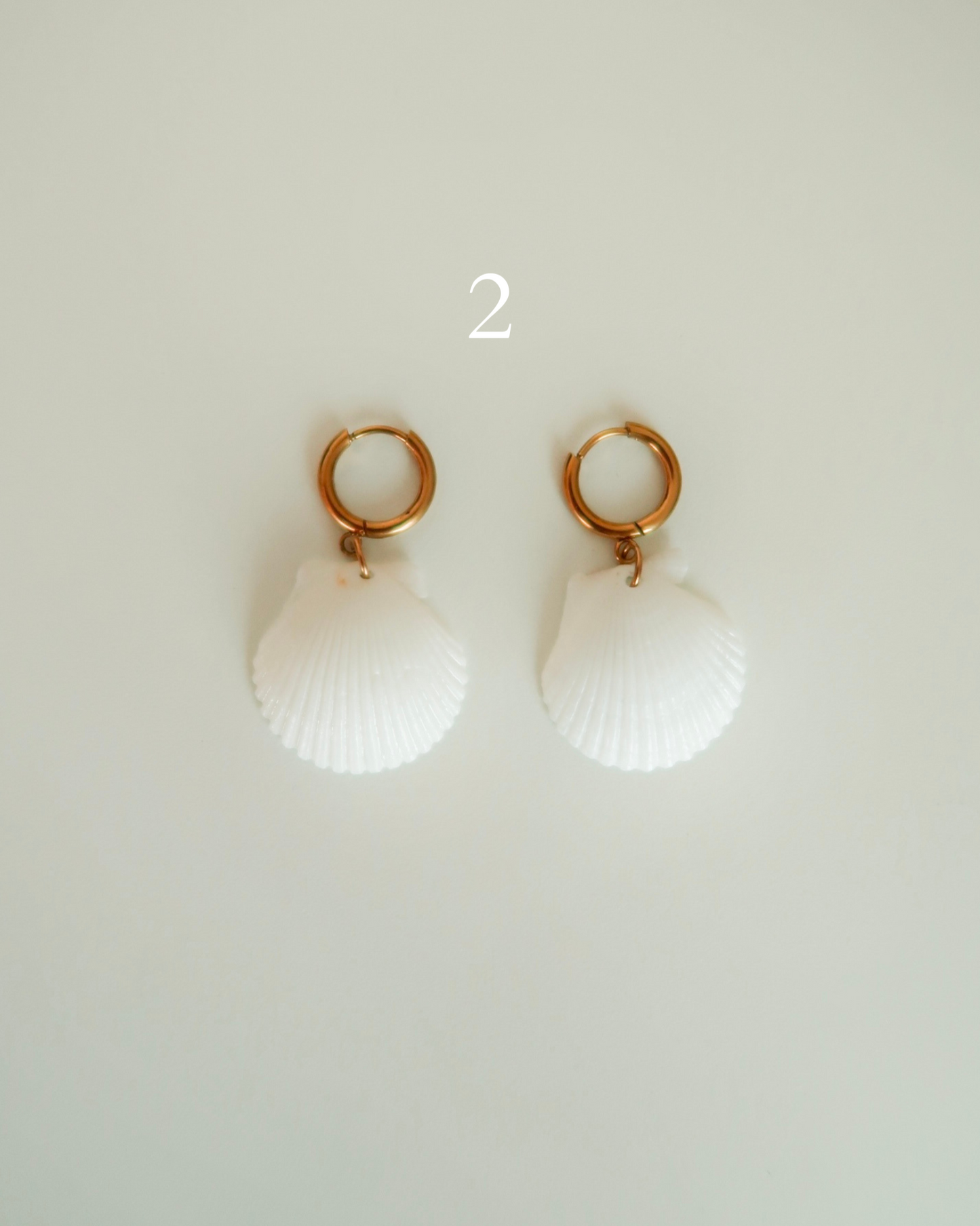 Shell Earrings