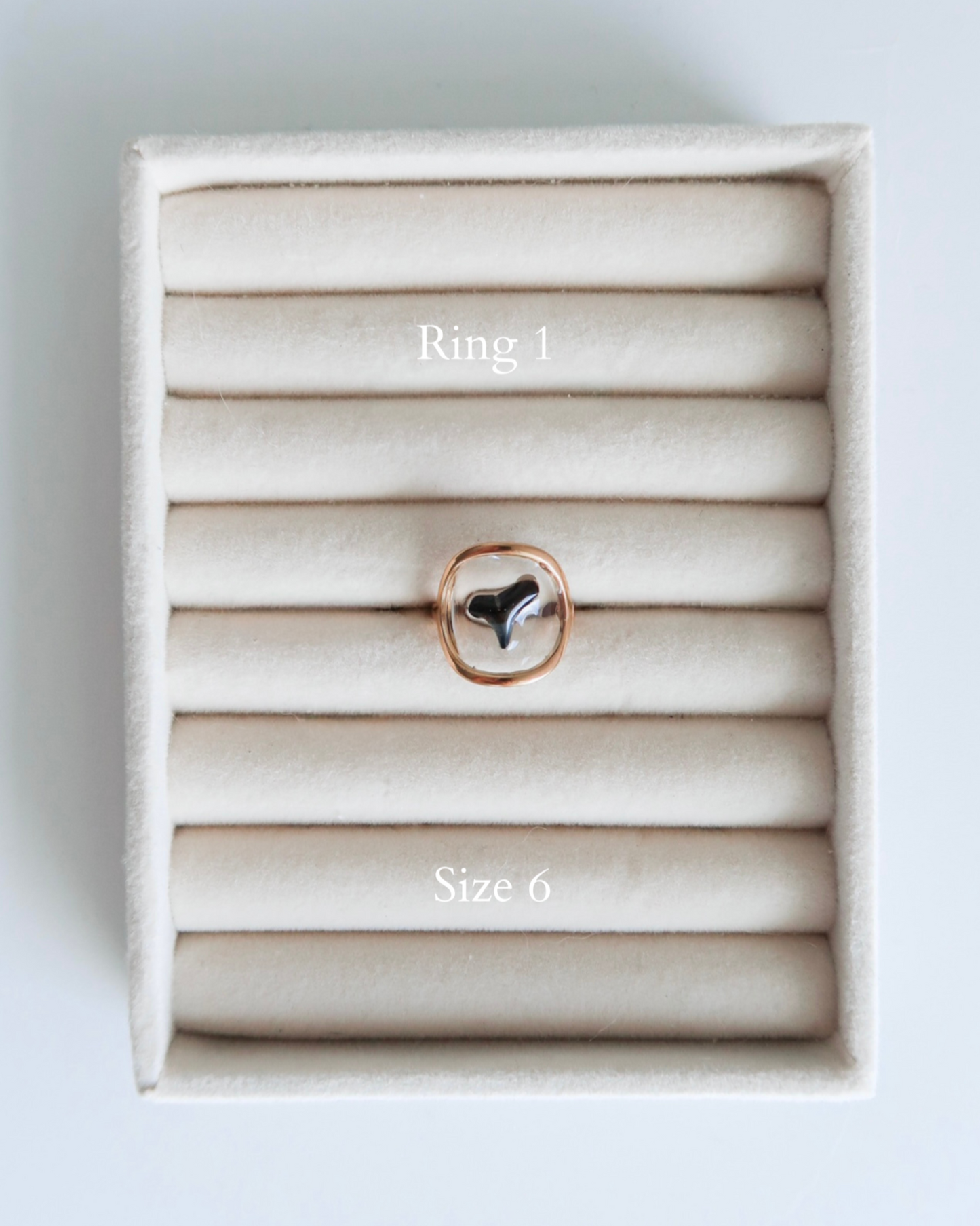 Shark Tooth Rings