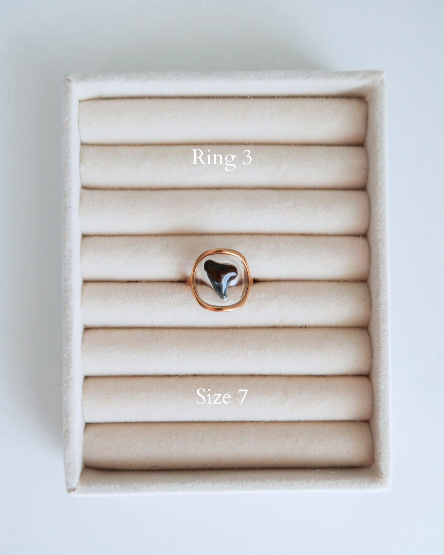 Shark Tooth Rings
