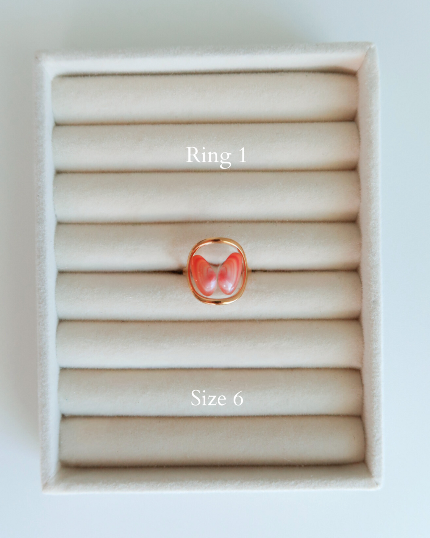Coquina Shell Rings