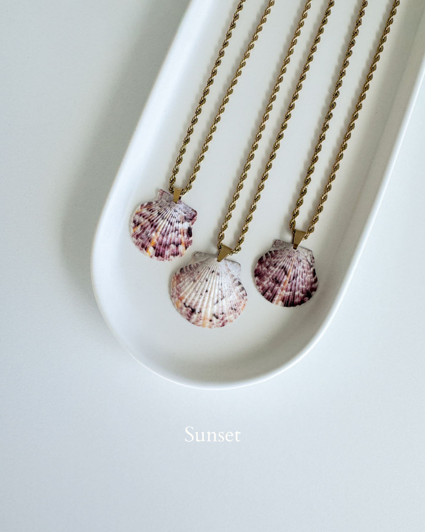 High Tide Shell Necklace