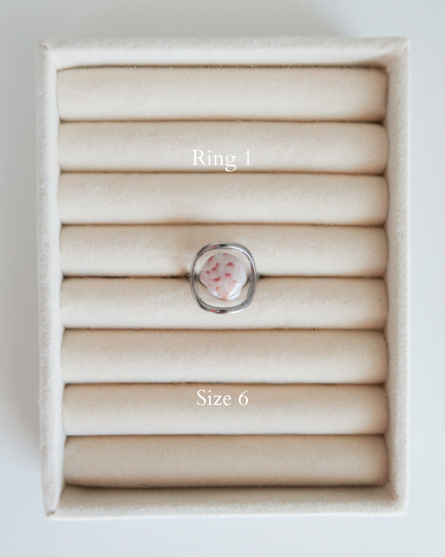 Silver Isla Shell Rings