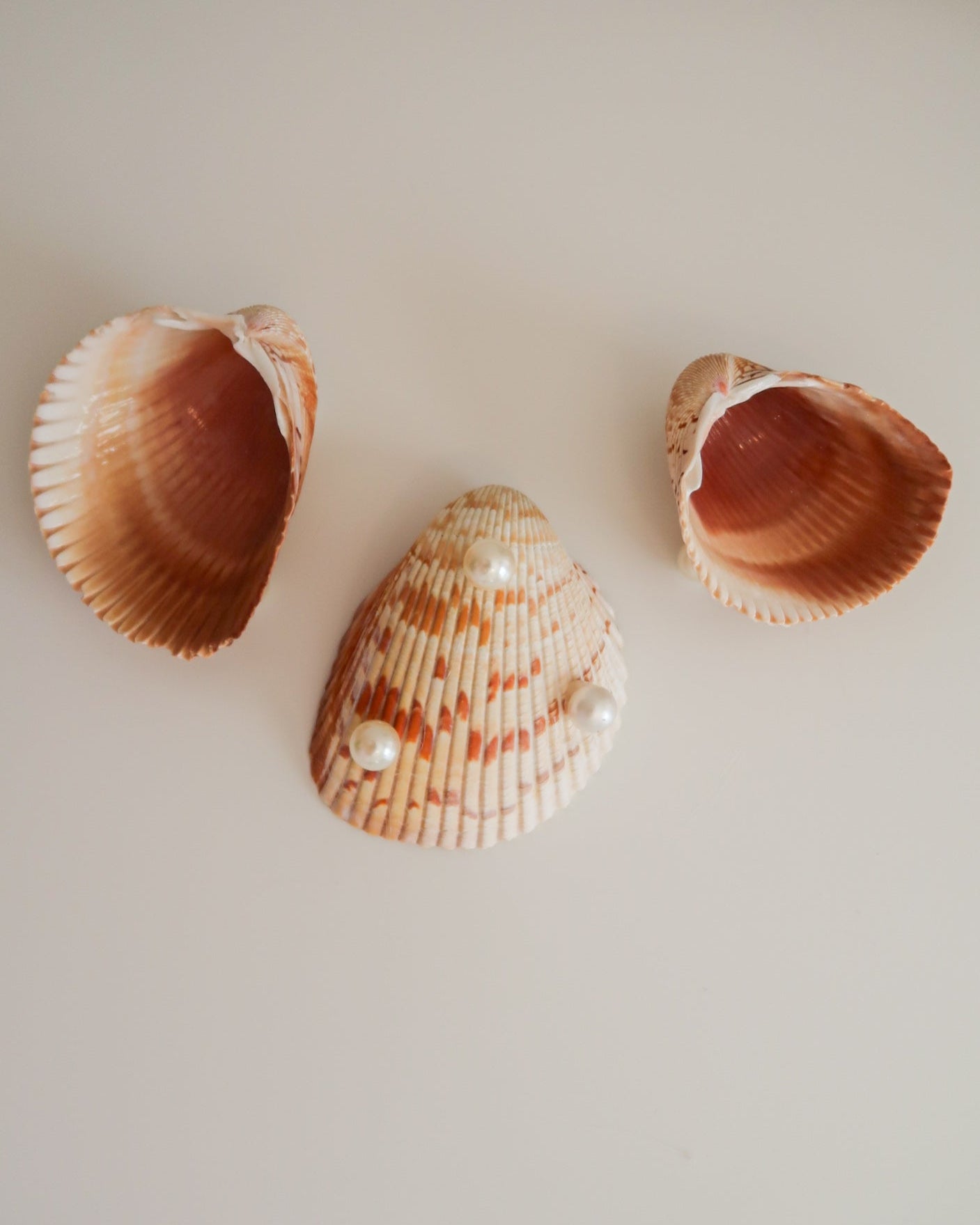 Plain Shell Trinket Dish