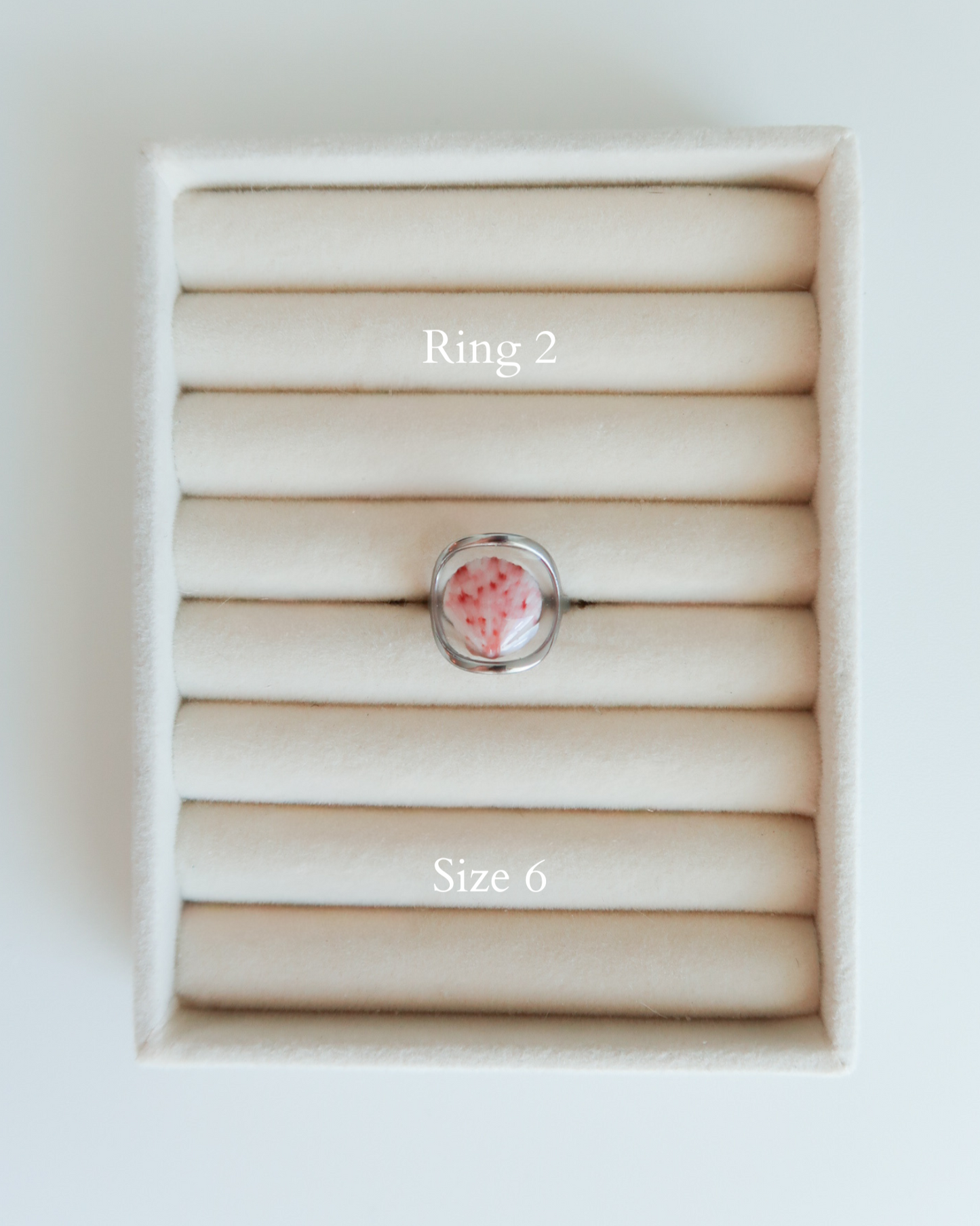 Silver Isla Shell Rings