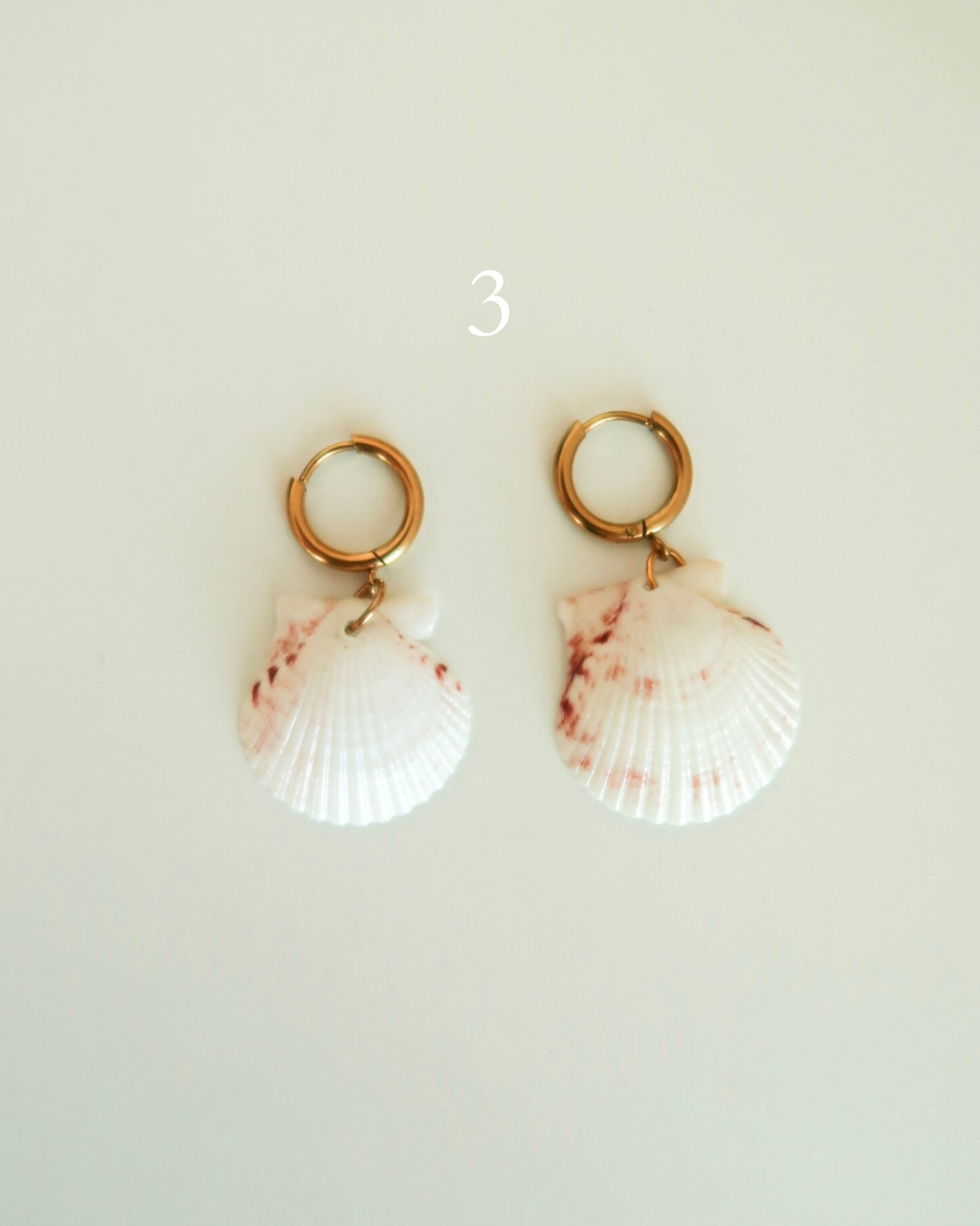 Shell Earrings