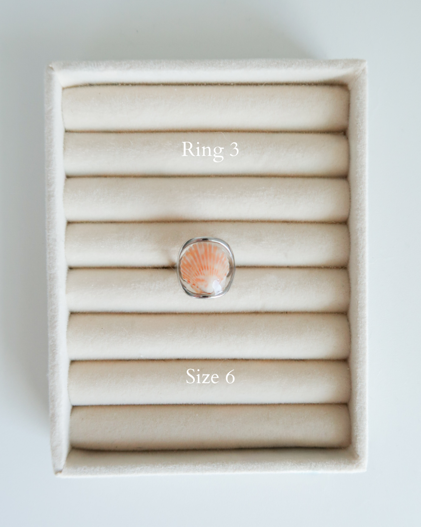 Silver Isla Shell Rings