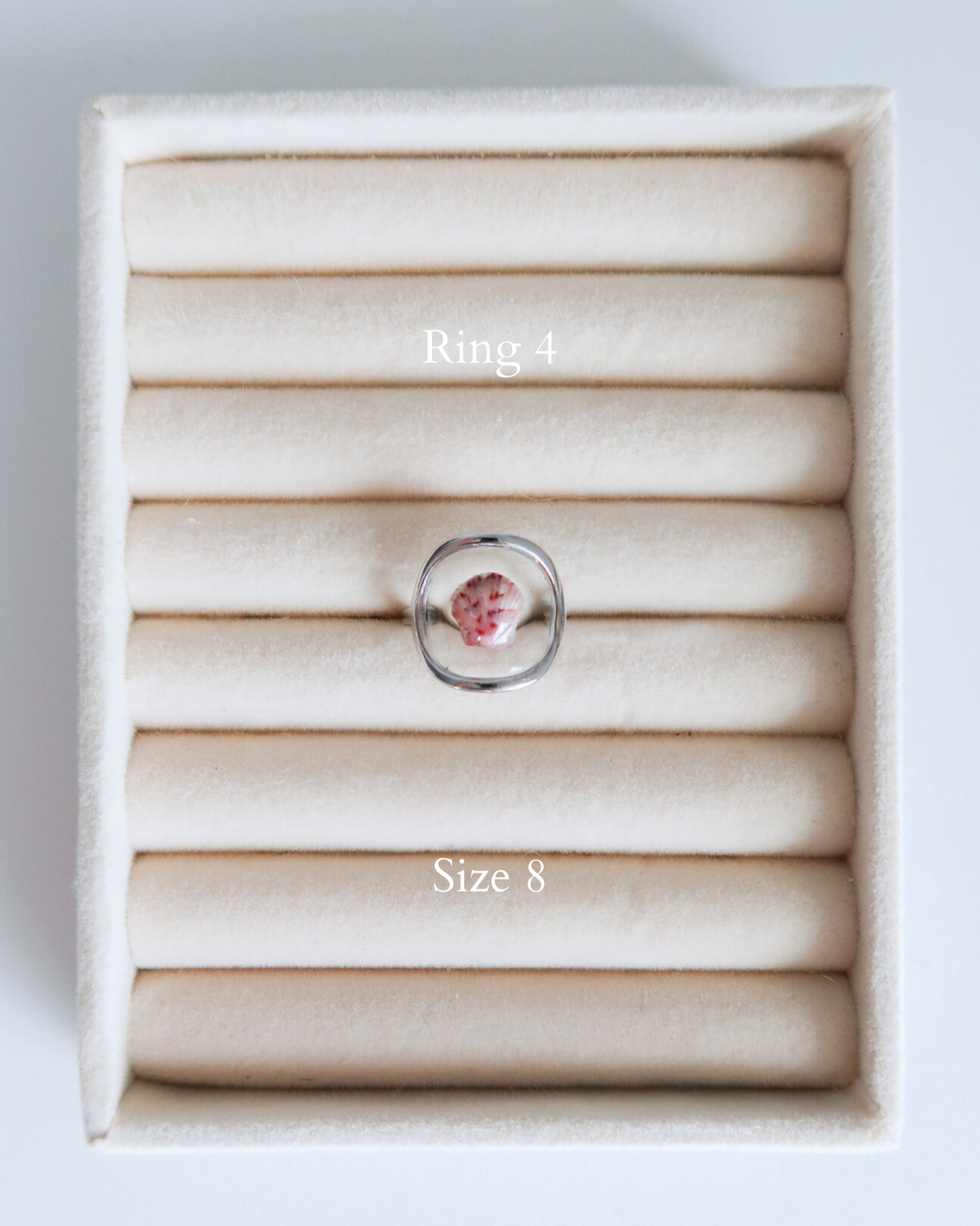 Silver Isla Shell Rings