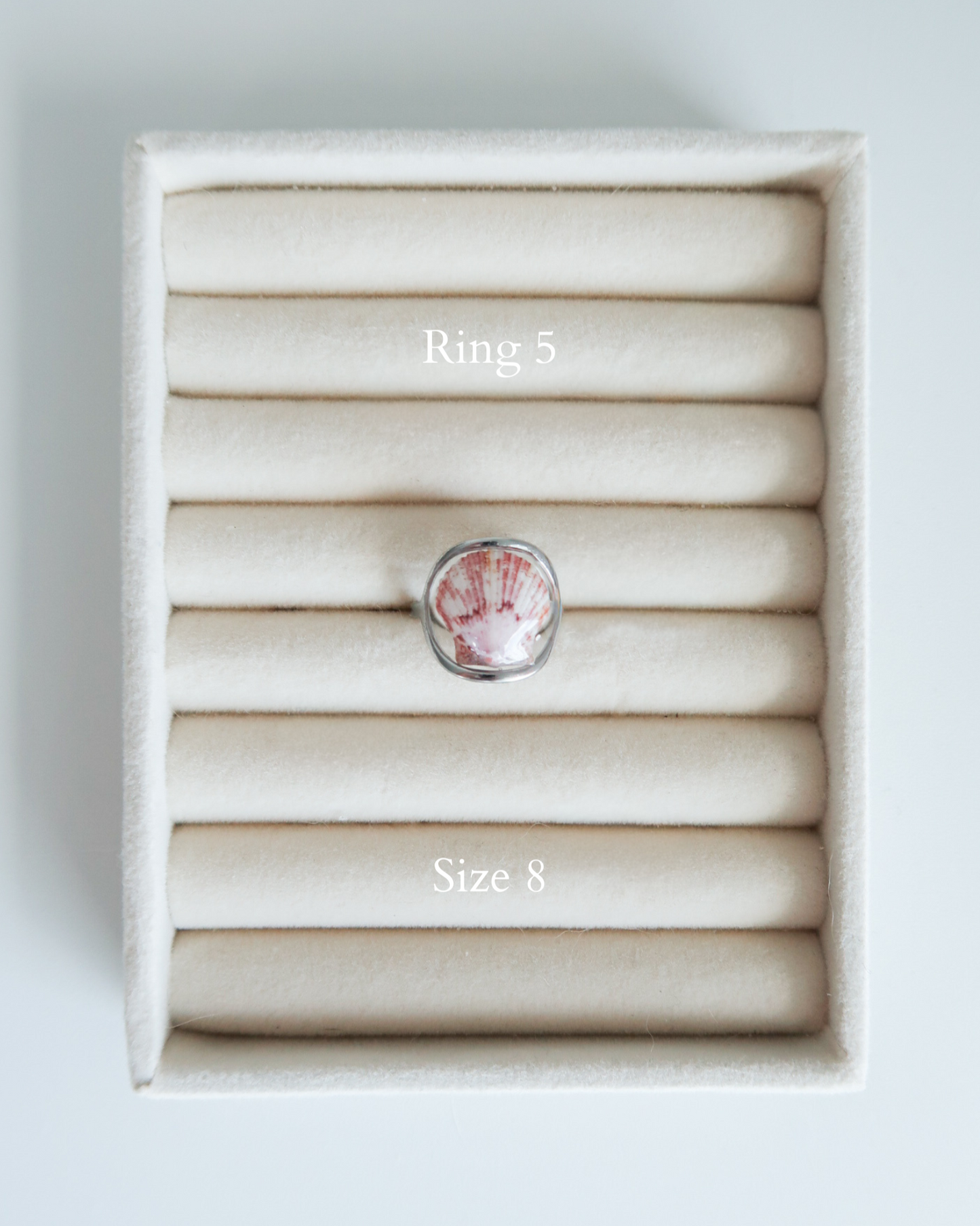 Silver Isla Shell Rings