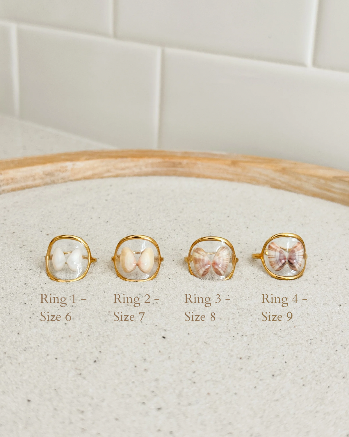 Coquina Shell Rings