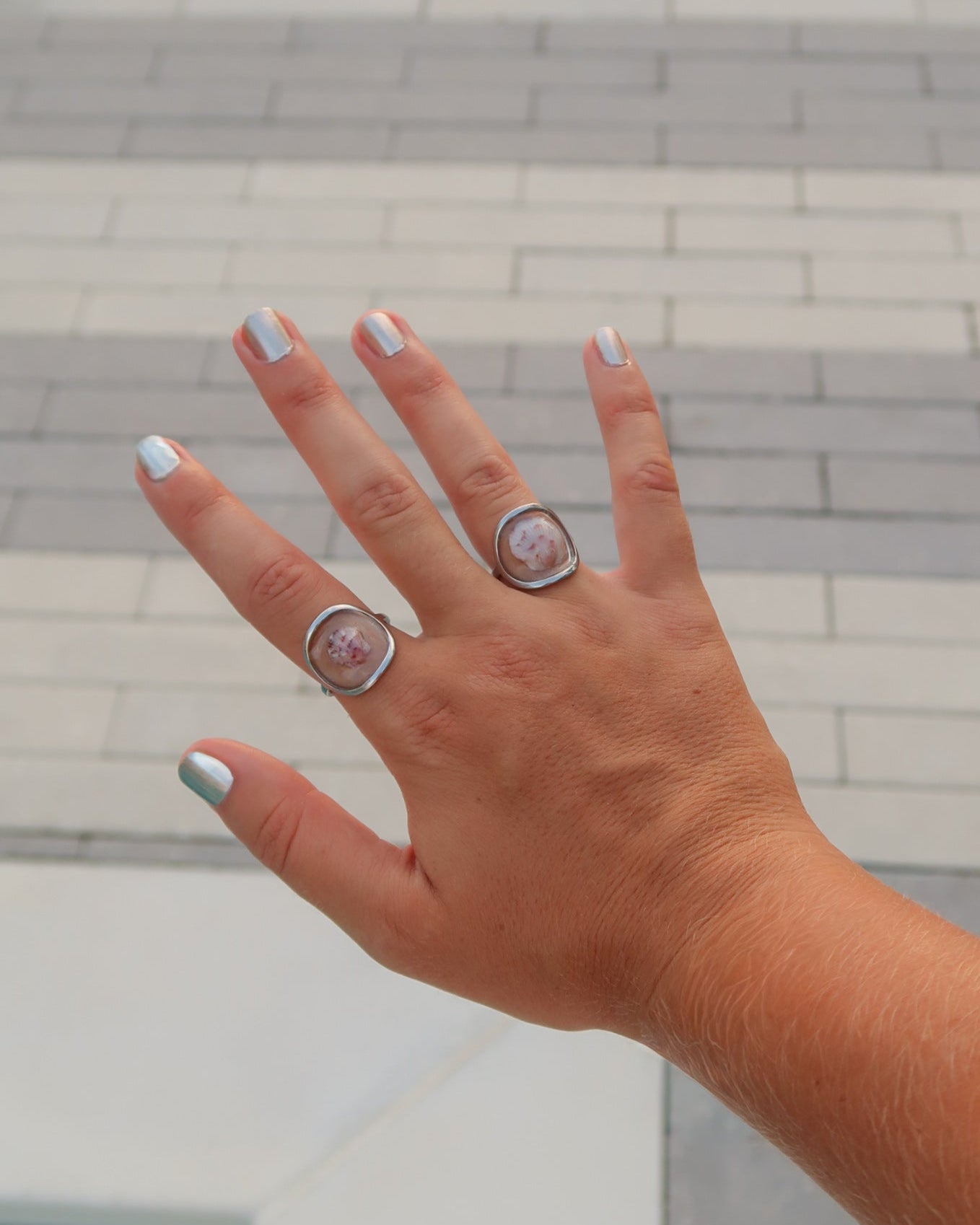 Silver Isla Shell Rings