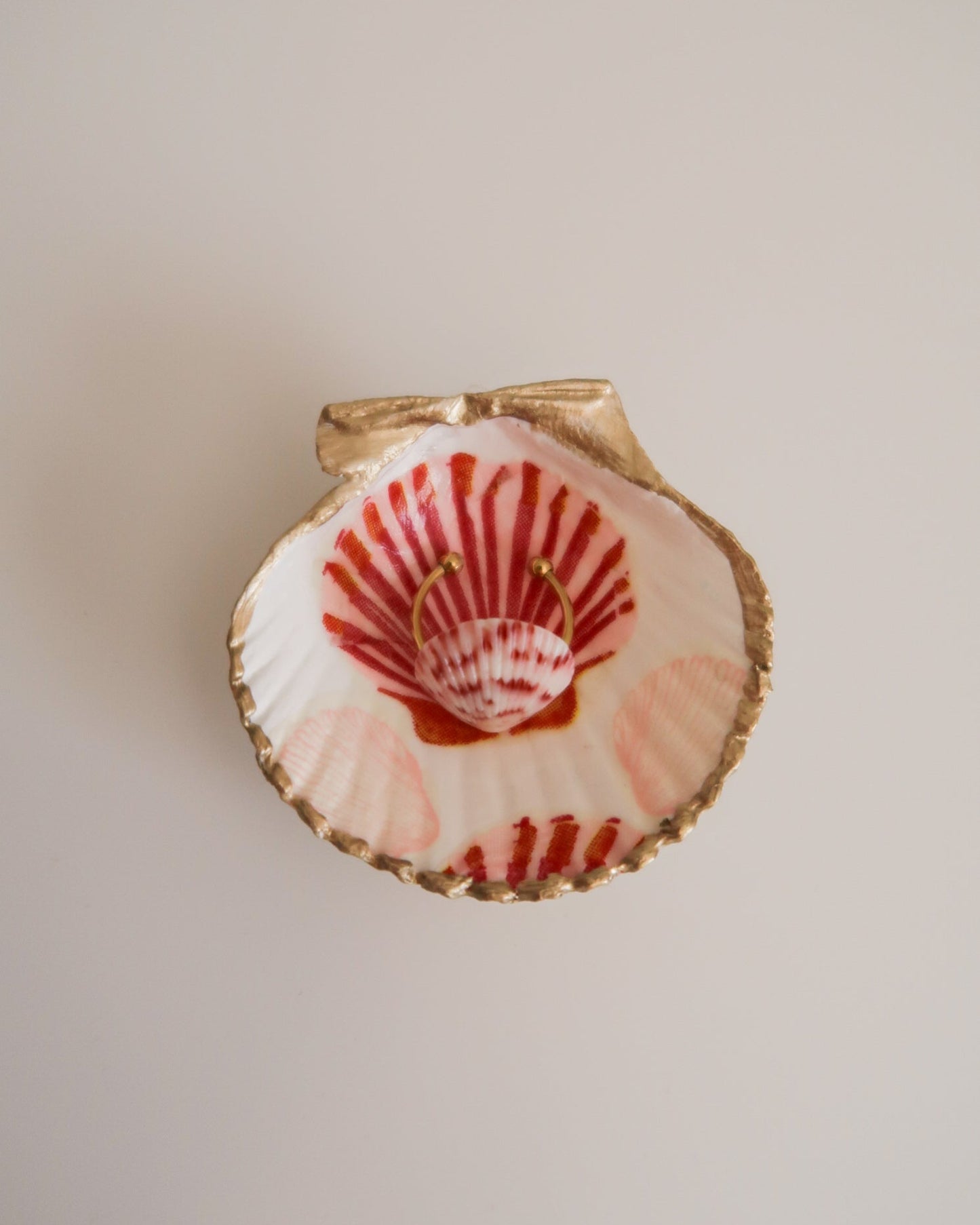 Mini Shell Ring Dishes