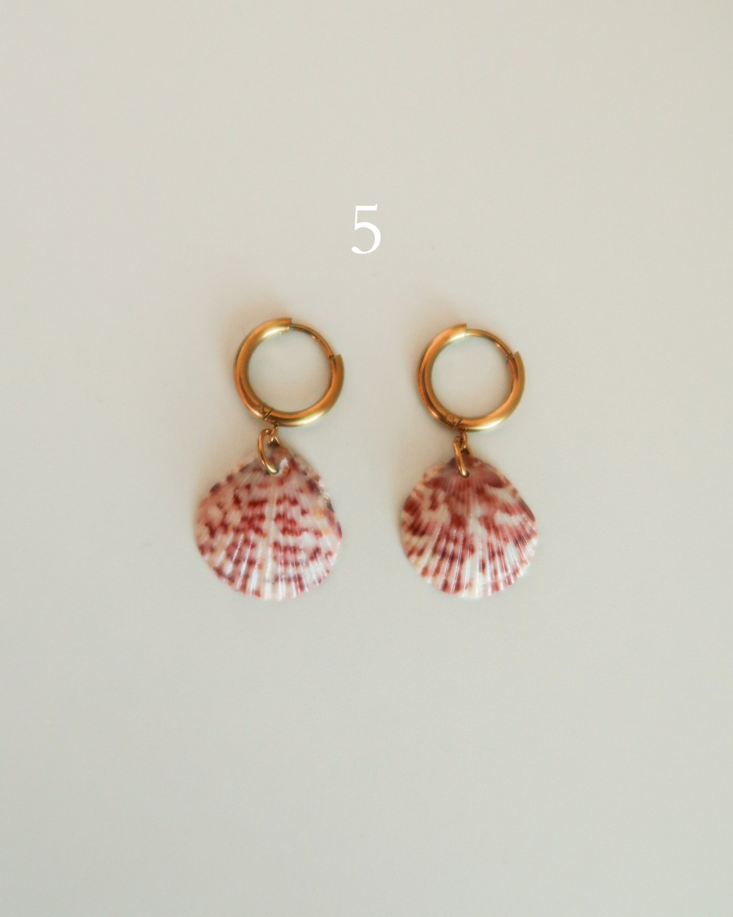 Shell Earrings