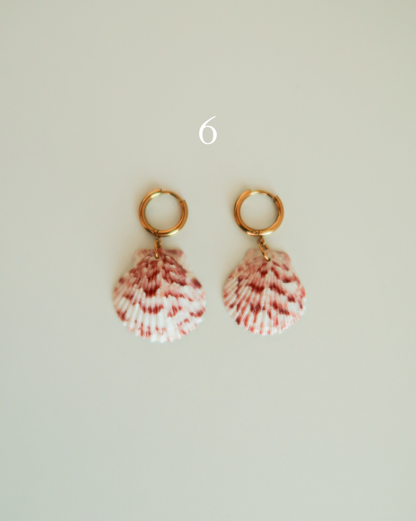 Shell Earrings