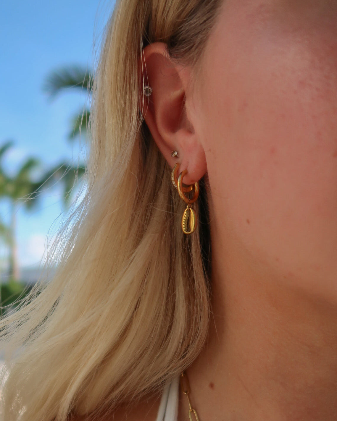 Cowrie Earrings