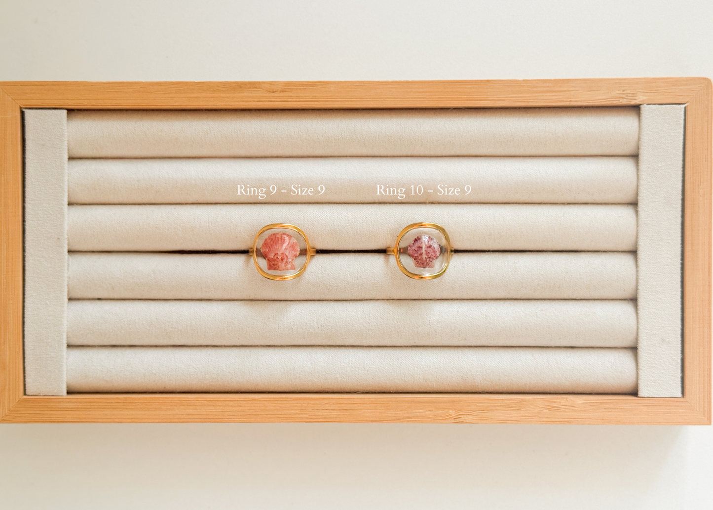 Gold Isla Shell Rings