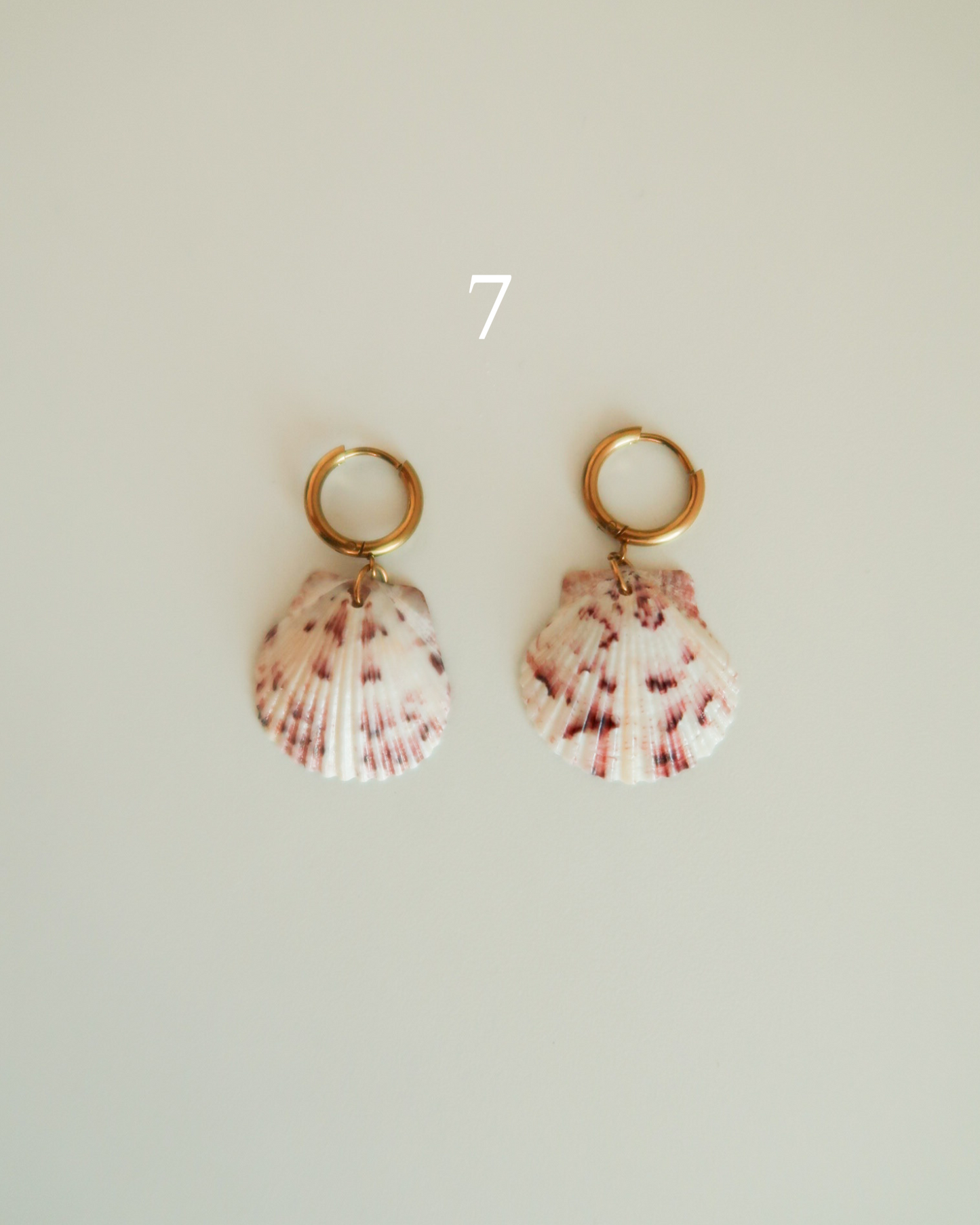 Shell Earrings
