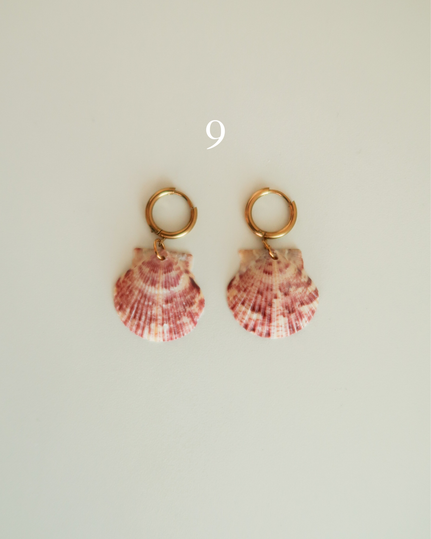 Shell Earrings