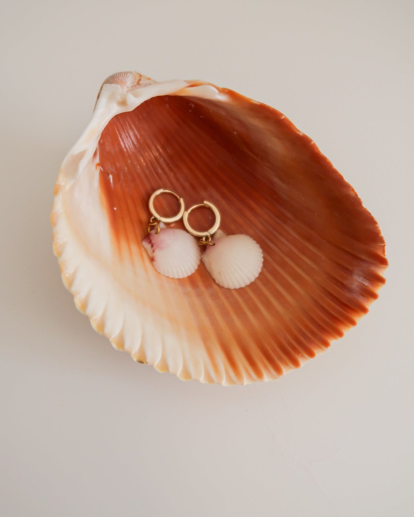 Plain Shell Trinket Dish