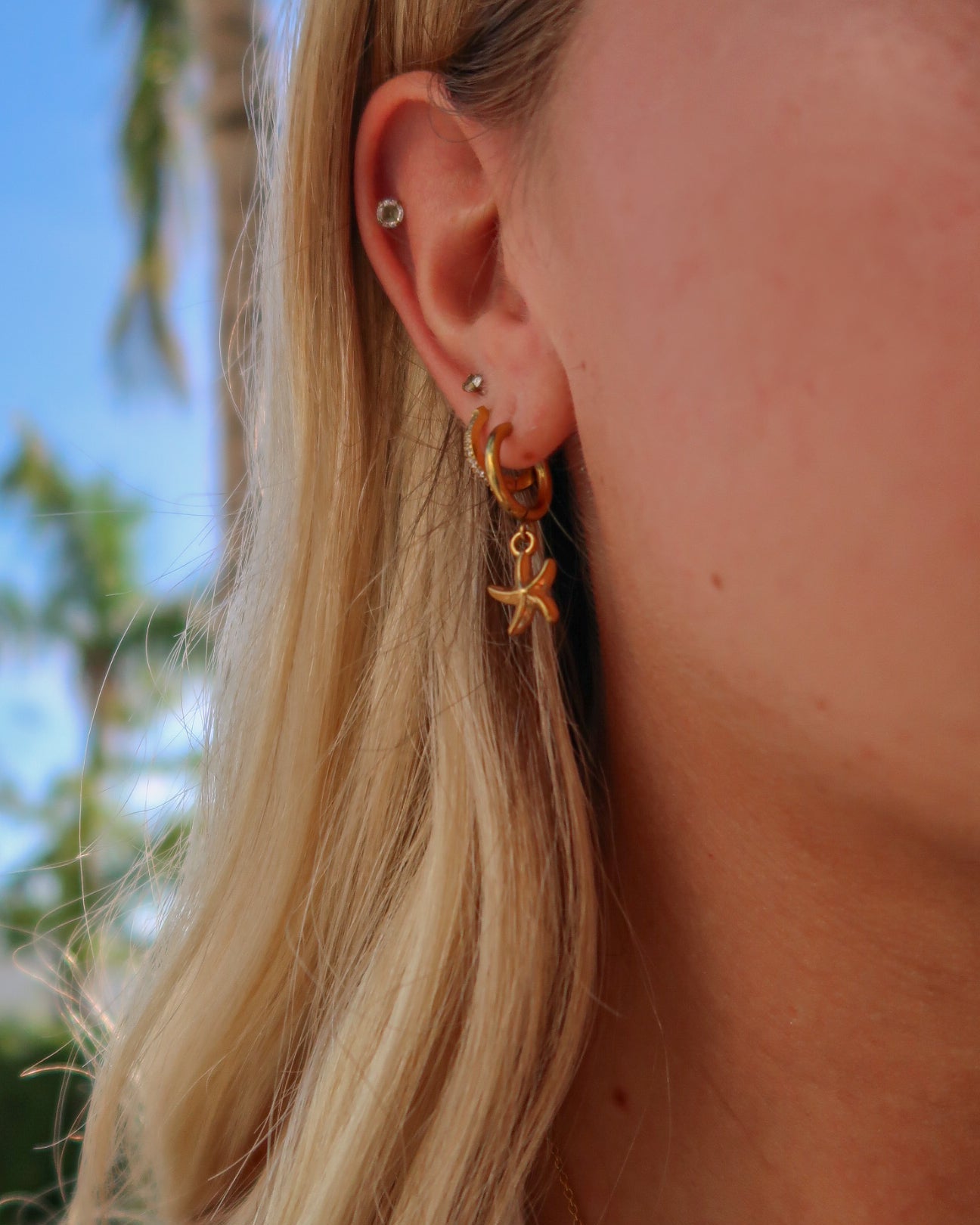 Starfish Earrings