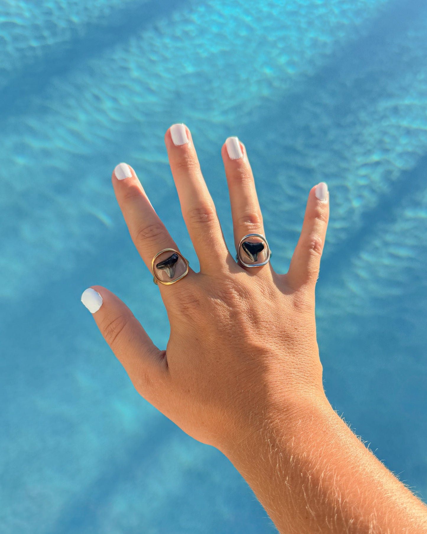 Shark Tooth Rings