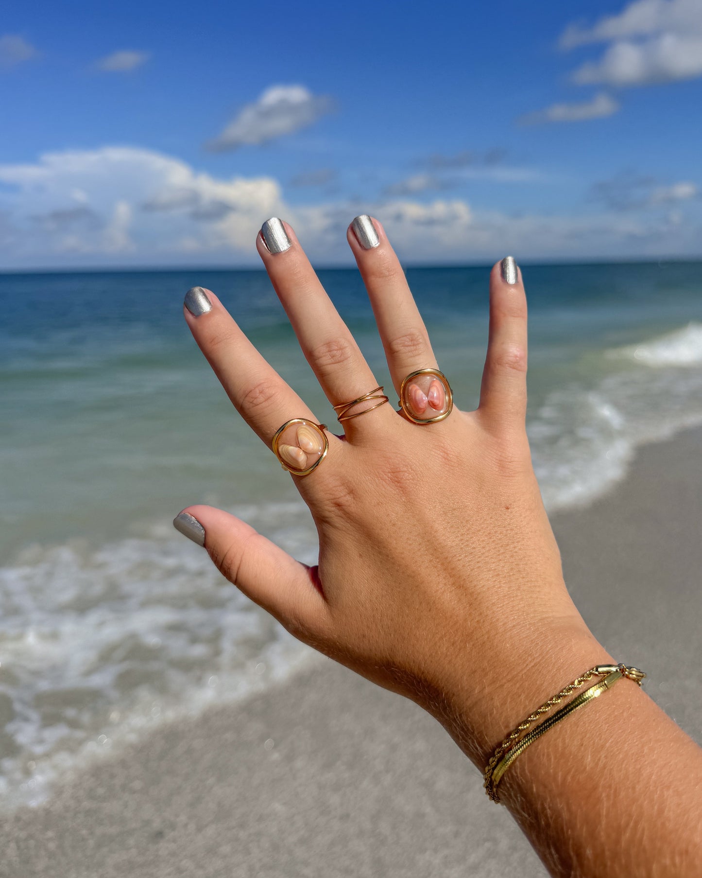 Coquina Shell Rings