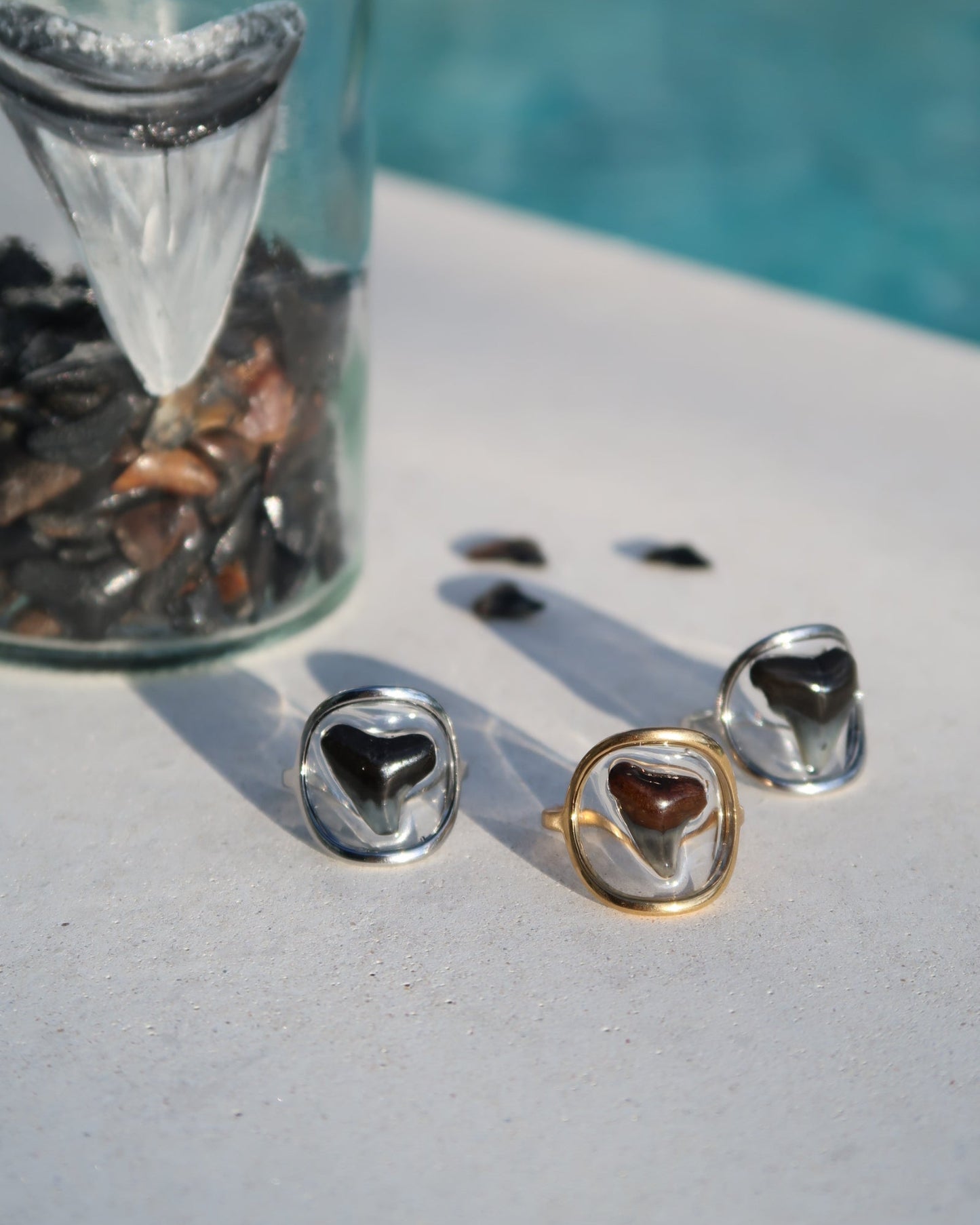 Shark Tooth Rings