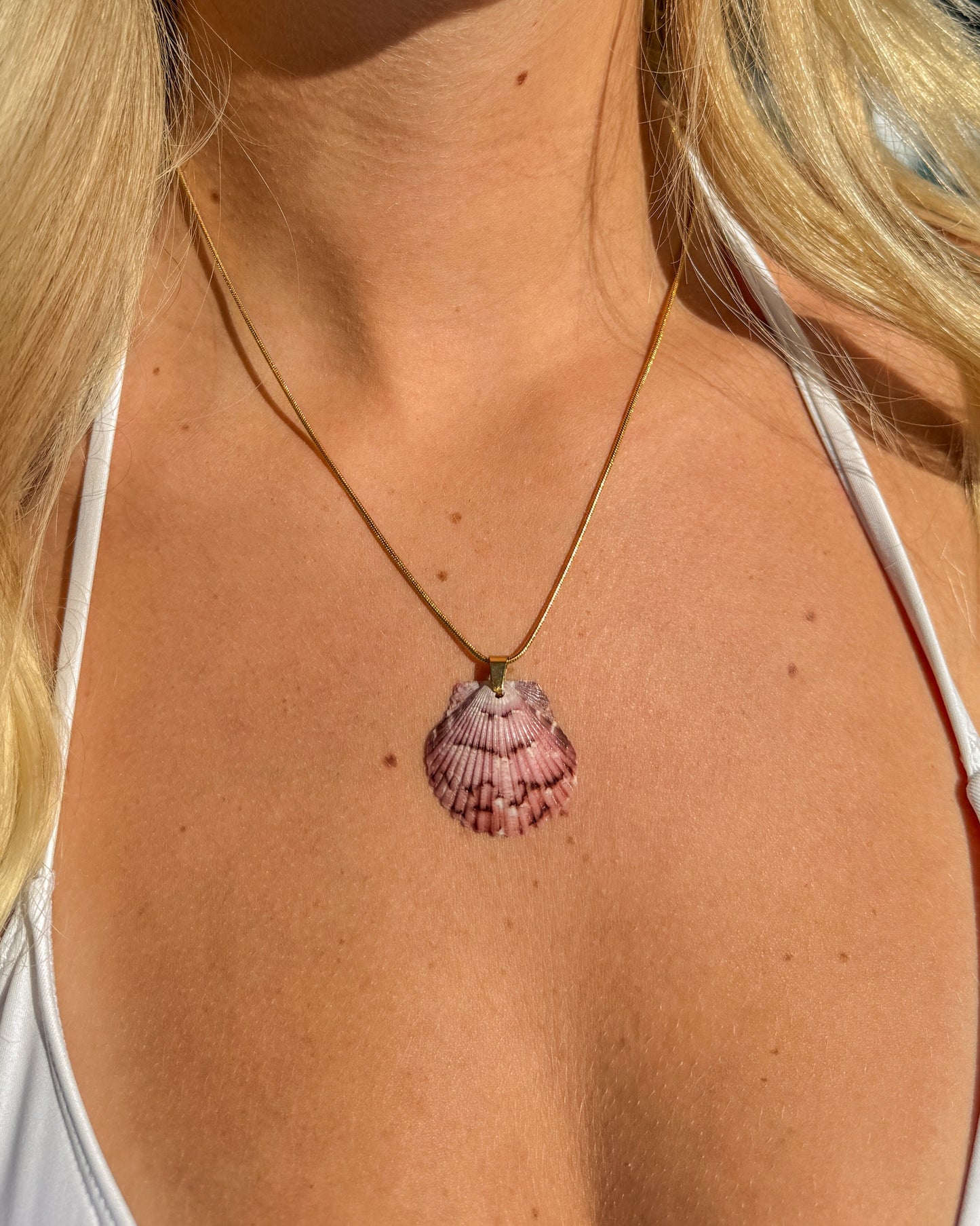 Beachline Shell Necklace