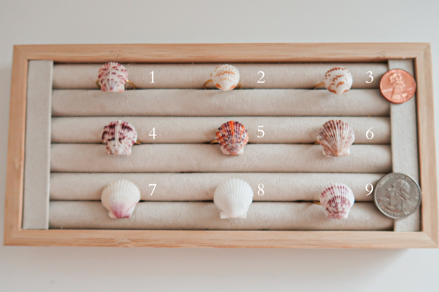 Dainty Shell Rings