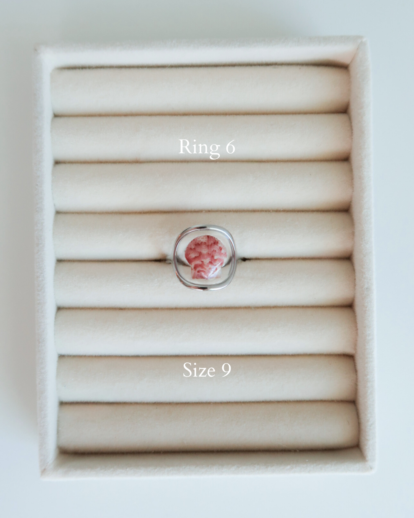 Silver Isla Shell Rings