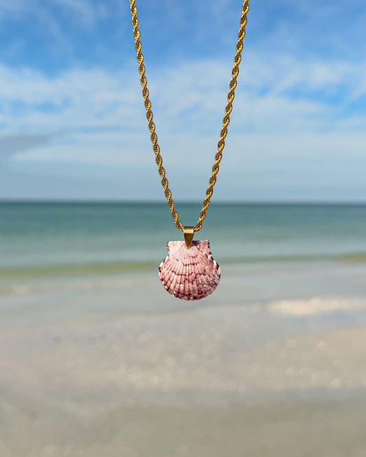 High Tide Shell Necklace