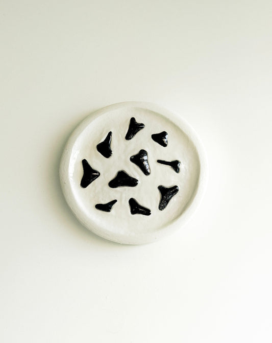 Shark Tooth Ring Dish