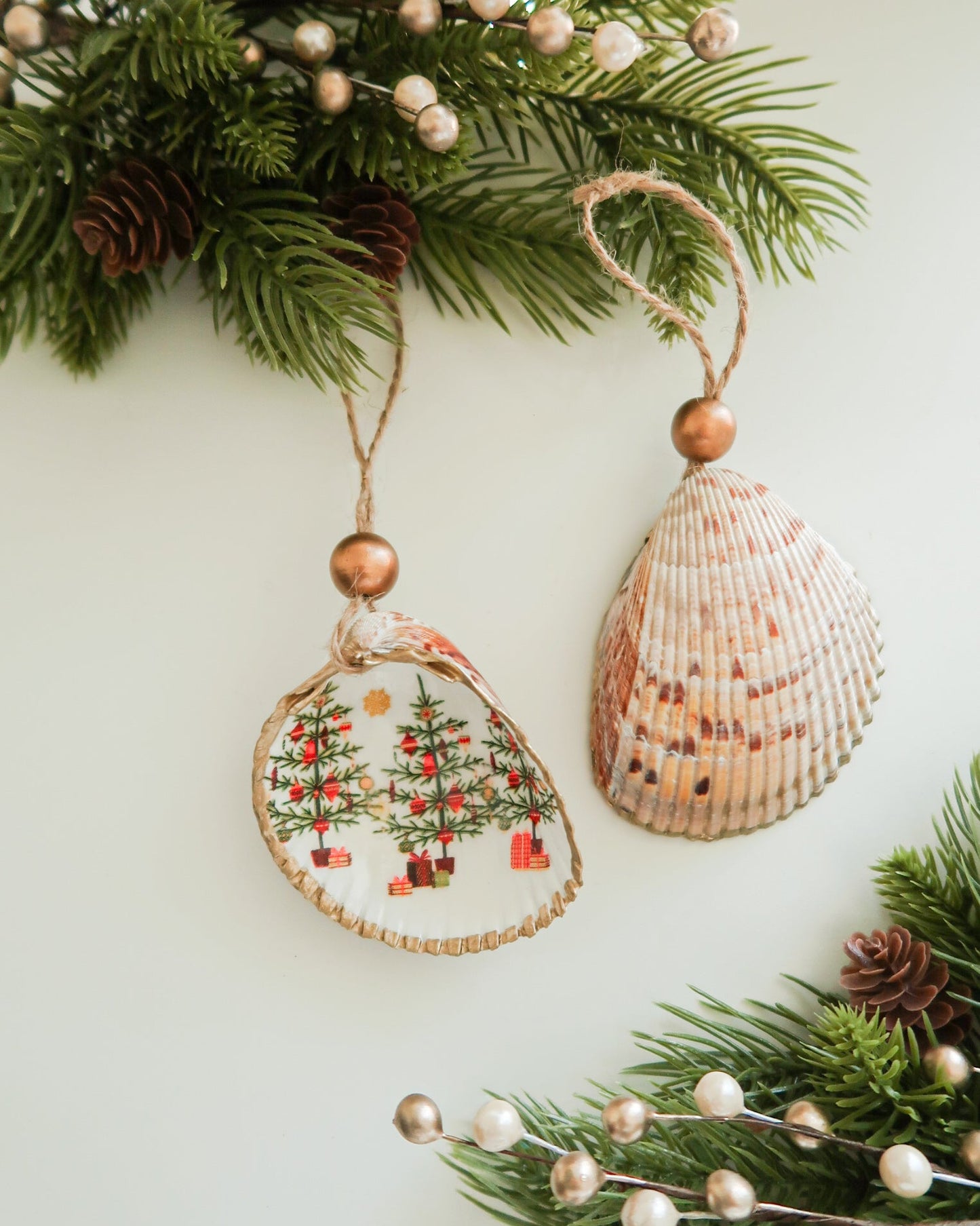 Christmas Tree’s Cockle Ornament