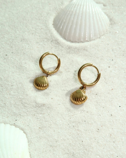 Gold Shell Earrings