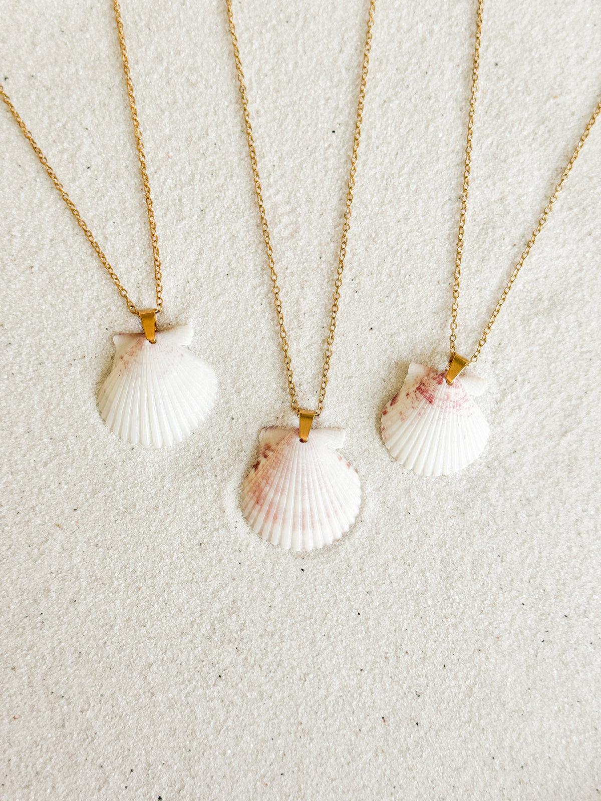 Dainty Gold Shell Necklace