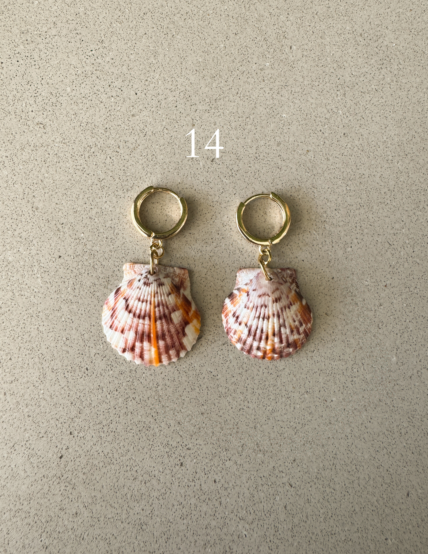 Gold Shell Earrings