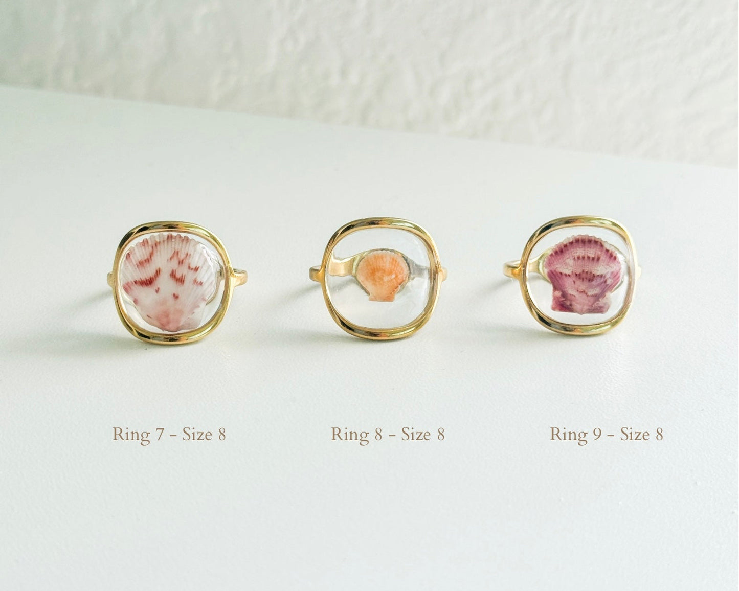 Gold Isla Shell Rings