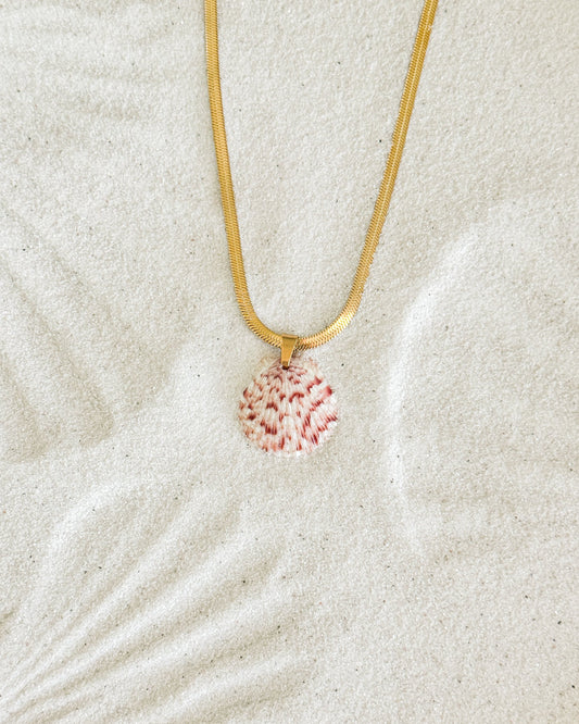 Coastline Shell Necklace