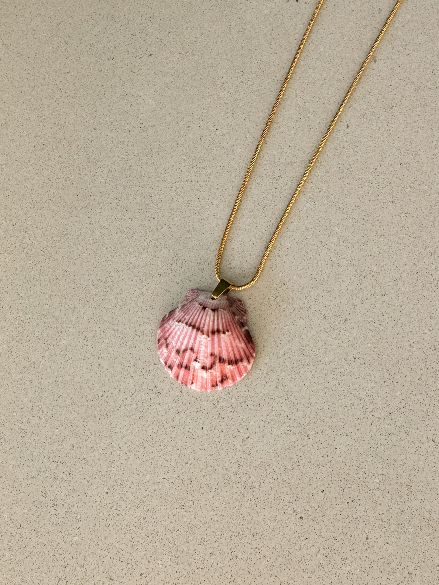 Beachline Shell Necklace