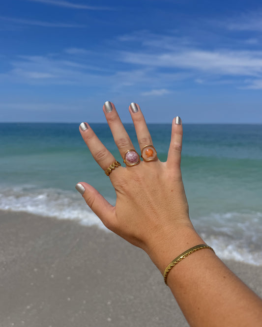 Isla Shell Rings