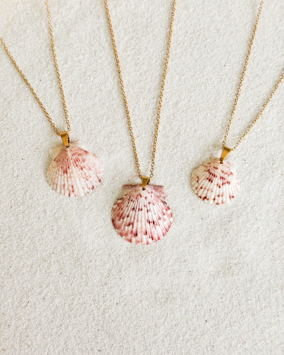 Dainty Gold Shell Necklace