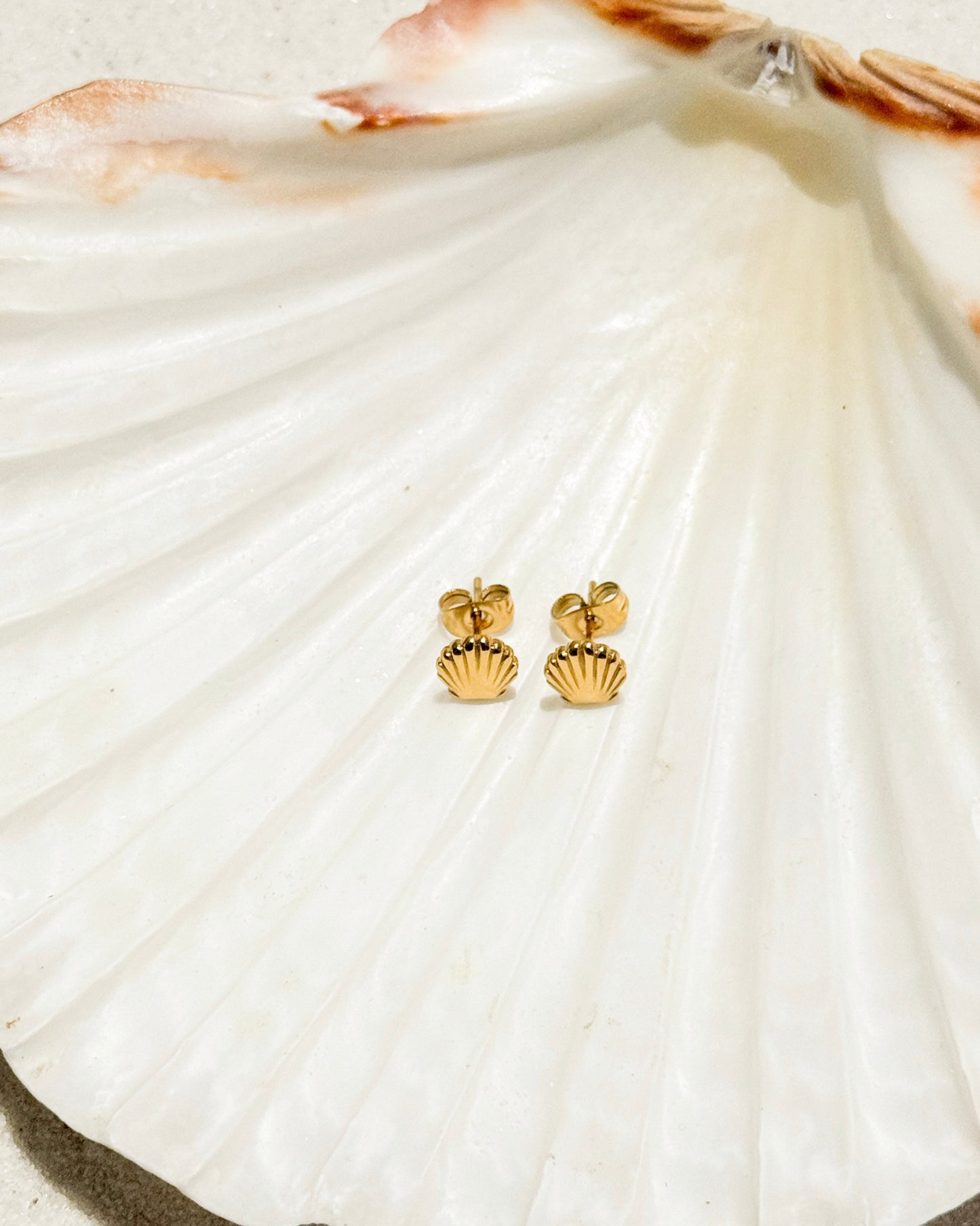 Gold Shell Studs