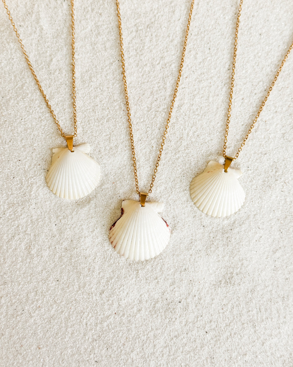 Dainty Gold Shell Necklace